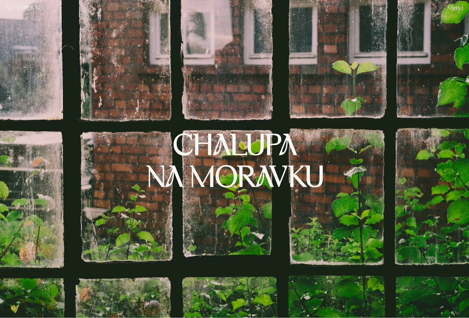 IMG: Web reference img